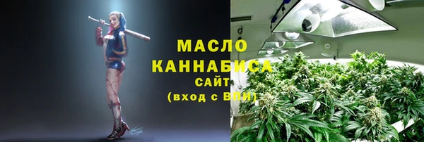 тгк Дмитров