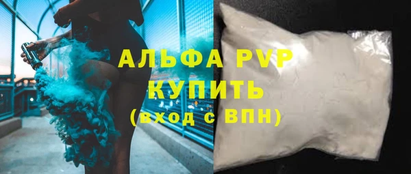 гашик Елизово
