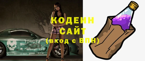 хмурый Каменка