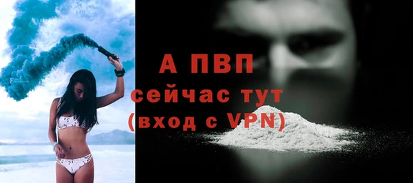 ALPHA PVP Ельня