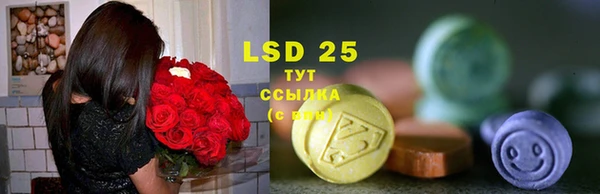 тгк Дмитров