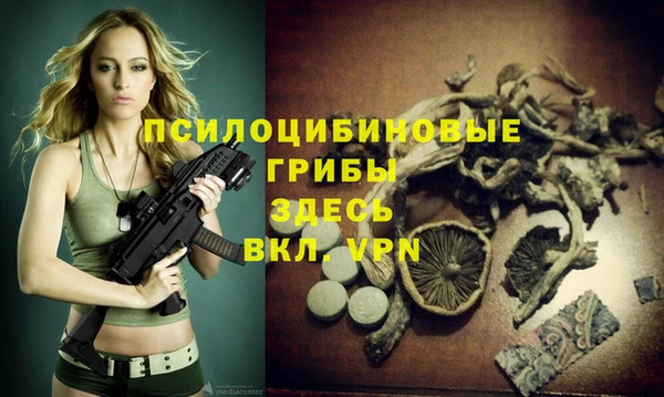 стафф Дмитровск