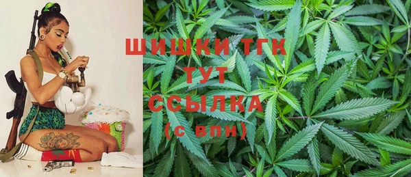 тгк Дмитров