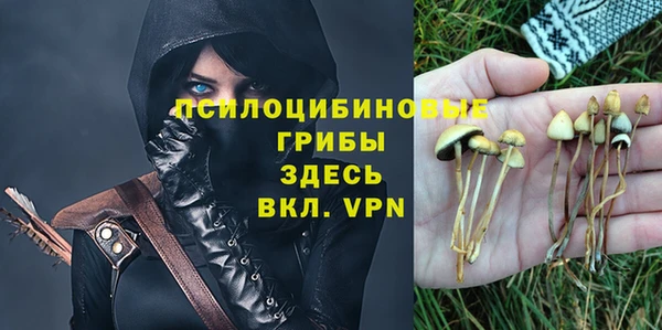 mdma Дмитриев