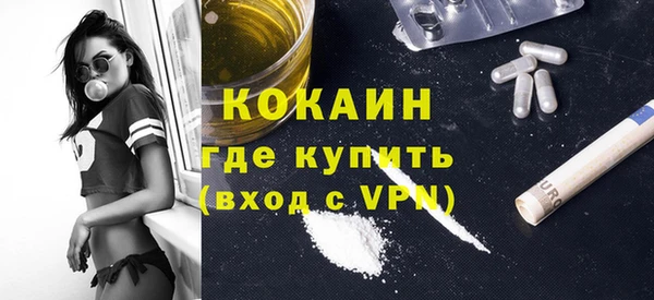 тгк Дмитров