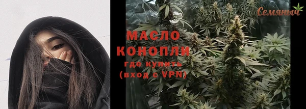 тгк Дмитров